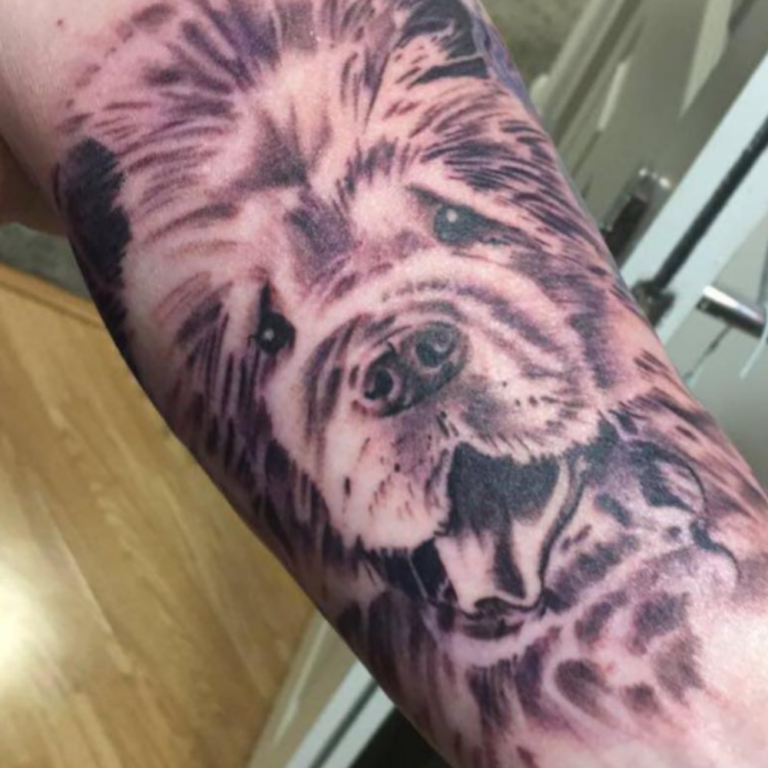 Explore Unique Chow Chow Tattoo Ideas | Chow Chow Community